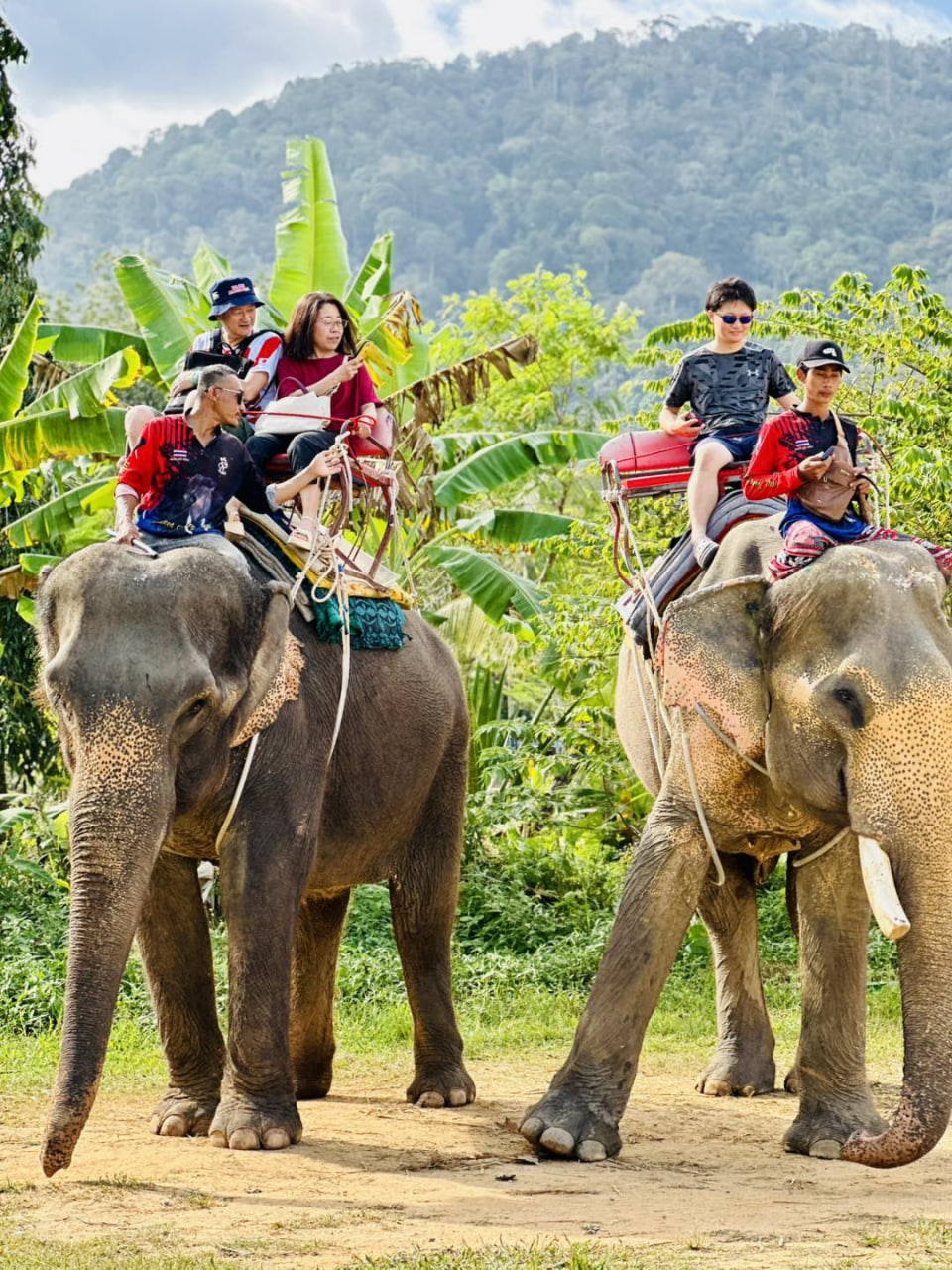 Phuket 2